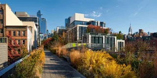 New York City Hudson Yards and High Line Tour