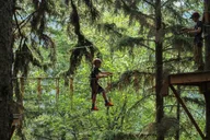 Skagway Adventure Park & Zipline Tour thumbnail 4