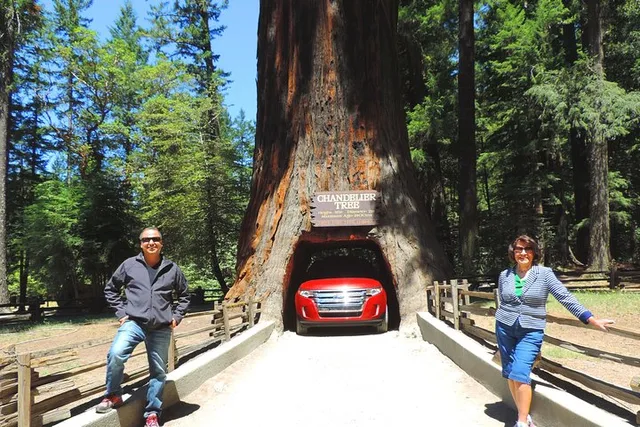 San Francisco Avenue of the Giants Redwoods Tour - Image 1