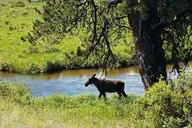Denver Rocky Mountain National Park Tour thumbnail 2