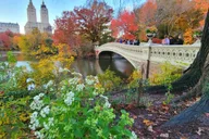New York Central Park Walking Tour thumbnail 1