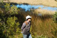 Northeast Florida Nature Hike thumbnail 3
