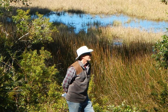 Northeast Florida Nature Hike - Image 3