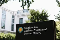 Washington D.C. Smithsonian Museum of Natural History Tour thumbnail 3