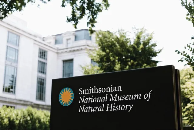 Washington D.C. Smithsonian Museum of Natural History Tour - Image 3