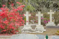 Savannah Cemetery and Historic Site Tour thumbnail 4