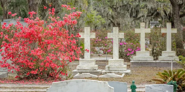 Savannah Cemetery and Historic Site Tour - Image 4