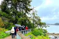 Sitka Totem Park Tour 30 Min thumbnail 3