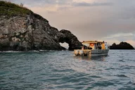 Kachemak Bay Wildlife Tour thumbnail 1