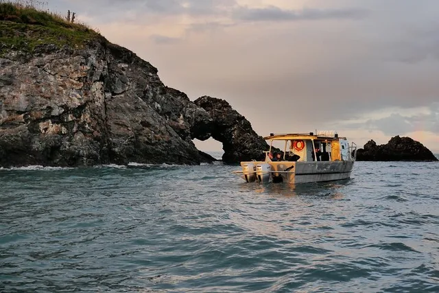 Kachemak Bay Wildlife Tour - Image 1