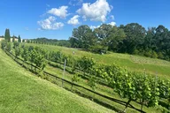 Dahlonega Wine Tour from Atlanta thumbnail 6