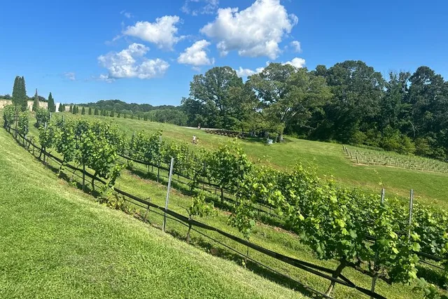 Dahlonega Wine Tour from Atlanta - Image 6