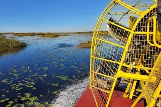 Miami Everglades National Park Airboat Tour