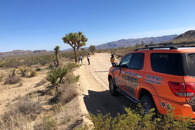 Joshua Tree National Park Offroad Tour - Image 2
