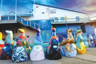 San Francisco Aquarium of the Bay Admission thumbnail 4