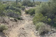Phoenix Mountain Bike Adventure in Sonoran Desert thumbnail 1