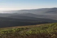 San Francisco Muir Woods Sausalito Sonoma Wine Tour thumbnail 2