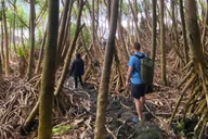 Pāhoa Tide Pool Hike and Jungle Adventure thumbnail 4