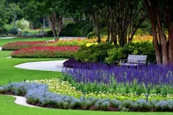 Dallas Arboretum and Botanical Gardens Tour thumbnail 6
