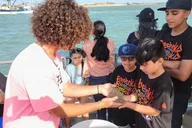 South Padre Island Dolphin Watch & Eco Tour 90 Min thumbnail 2
