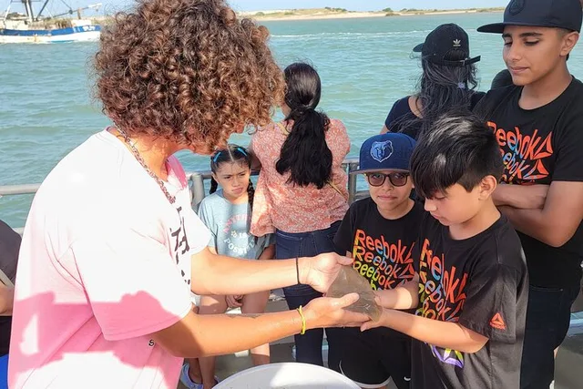 South Padre Island Dolphin Watch & Eco Tour 90 Min - Image 2