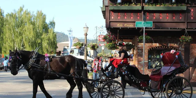 Seattle Cascade Mountains Leavenworth Day Tour - Image 1