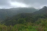 Maui East Side Hiking Tour thumbnail 3