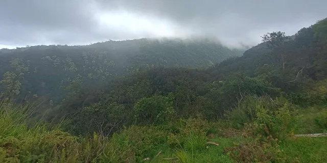Maui East Side Hiking Tour - Image 3