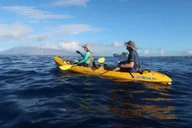 Maui Turtle Town Kayak and Snorkel Tour thumbnail 4