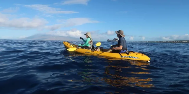 Maui Turtle Town Kayak and Snorkel Tour - Image 4
