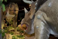 Las Vegas Natural History Museum Admission thumbnail 2