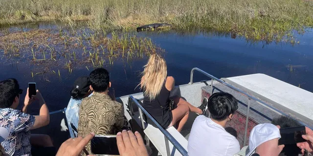 Miami Everglades Airboat Gator Spotting Tour - Image 2