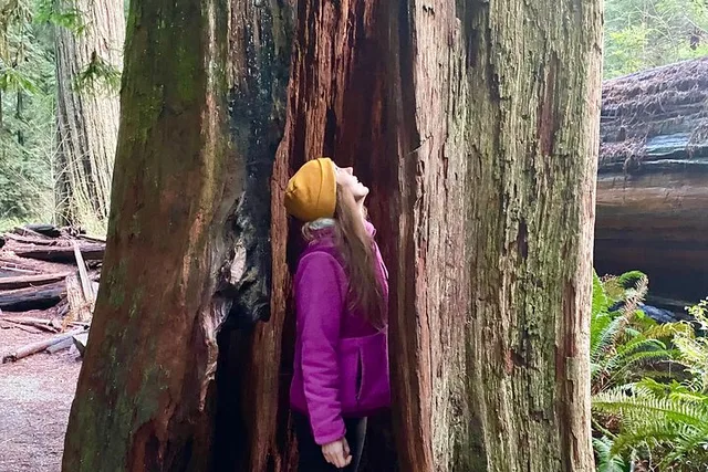Seattle to California National Parks and Coast Road Trip - Image 3
