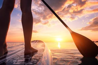 Charleston Stand Up Paddleboard Tour