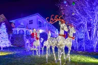 New York City Christmas Lights Bus Tour thumbnail 6