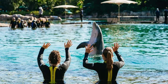 Orlando Discovery Cove Admission & Parks - Image 2