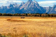 Salt Lake City 8-Day Yellowstone to Los Angeles Tour thumbnail 5