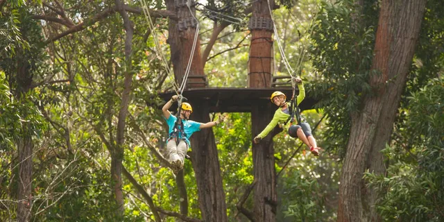 Kohala Canopy Zipline Adventure in Big Island - Image 5
