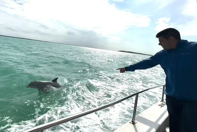 Miami Sandbar Adventure and Snorkel Boat Tour - Image 4