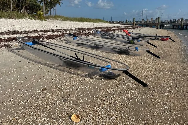 Peanut Island Glass-Bottom Kayak & Snorkel Adventure - Image 3