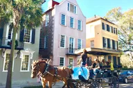 Charleston Horse & Carriage Historic Tour thumbnail 5