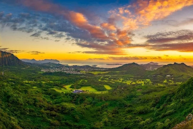 Oahu Island Tour: Dole, Snorkel & Pali Lookout - Image 4