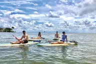 Saint Petersburg Paddle Board Tour thumbnail 3