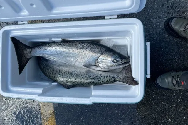 Juneau Fishing Experience - Image 5