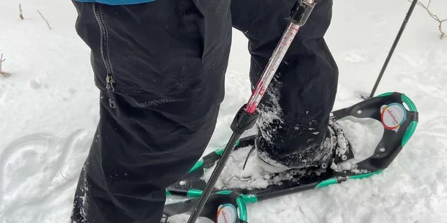 Boston Snowshoe Adventure in Western Massachusetts 8 hr - Image 6