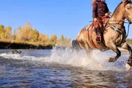 Tucson Horseback Riding Tour at Rancho Cerros thumbnail 3