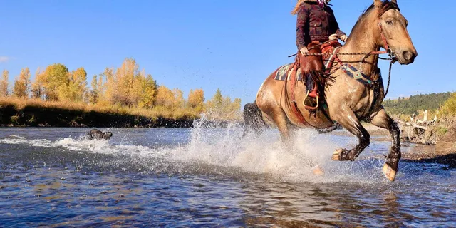 Tucson Horseback Riding Tour at Rancho Cerros - Image 3