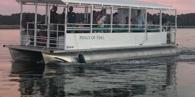 Hilton Head Dolphin and Nature Boat Tour 90 Min - Image 4