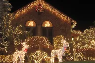 Brooklyn Christmas Lights Tour from Manhattan 4 hr thumbnail 5