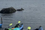 Orcas Island Coastal Kayak Tour thumbnail 5
